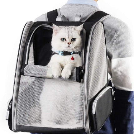 Innovative Traveler Bubble Backpack Pet Carriers for Cats and Dogs (Black)